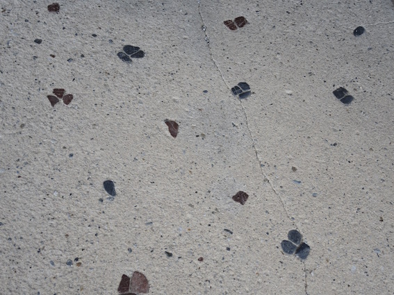 One, two, and three, Pattern on the floor, Shugakuin Rikyū, Kyōto, 2015